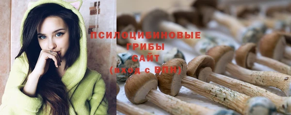 PSILOCYBIN Михайлов