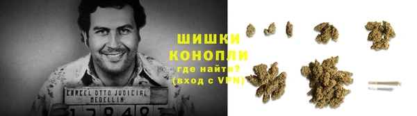 ГАЛЛЮЦИНОГЕННЫЕ ГРИБЫ Майский