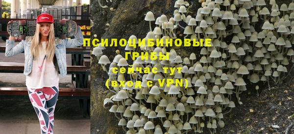 ГАЛЛЮЦИНОГЕННЫЕ ГРИБЫ Майский