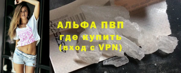 ГАЛЛЮЦИНОГЕННЫЕ ГРИБЫ Майский