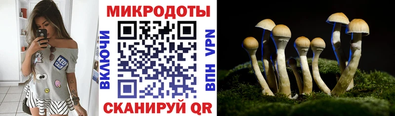 Галлюциногенные грибы мухоморы  Купить где  Бавлы 